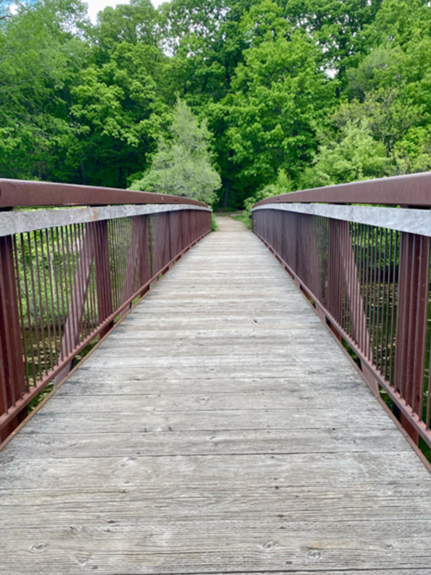 A picture of the Spring Valley Park bridge.