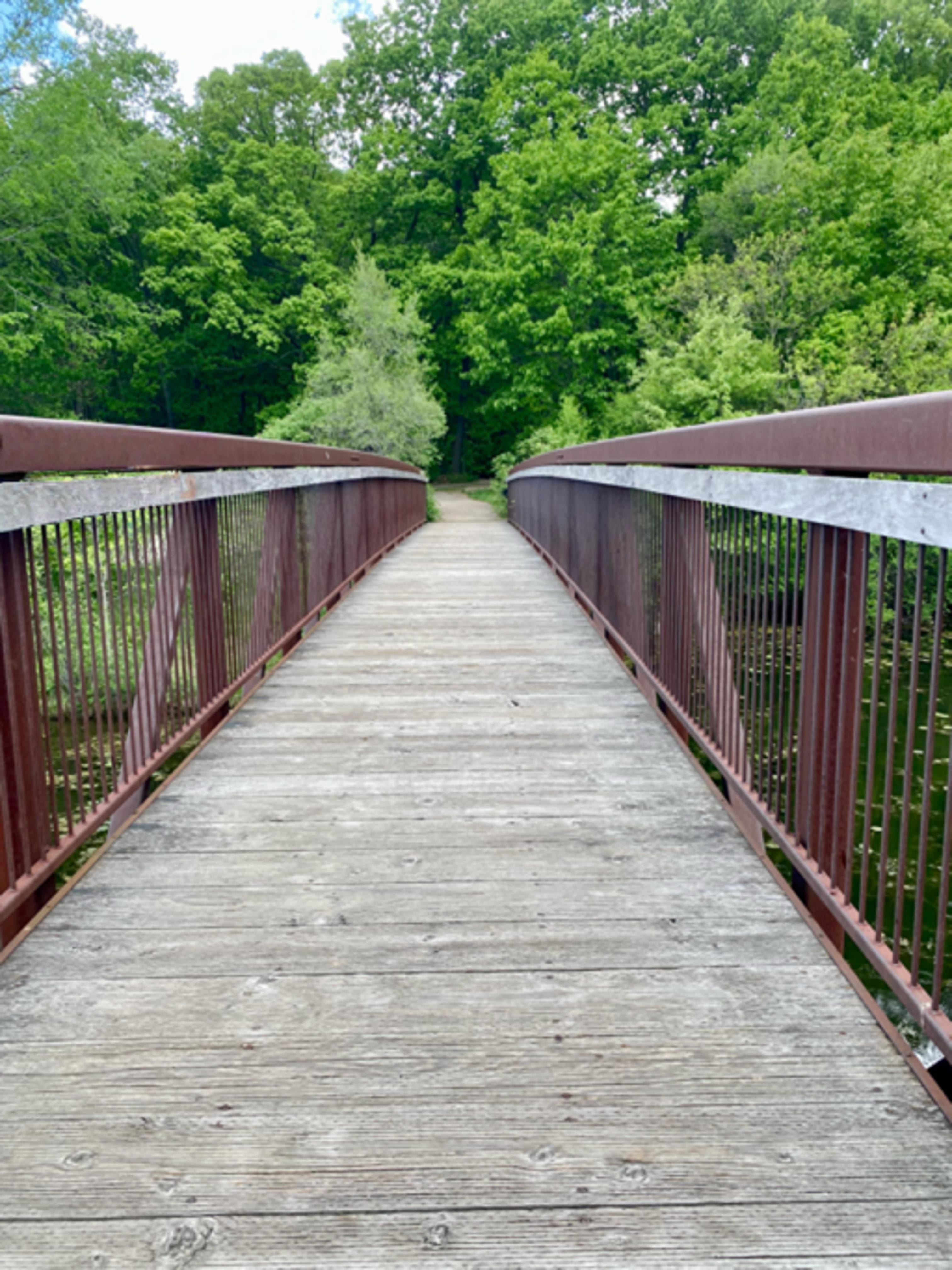 A picture of the Spring Valley Park bridge.